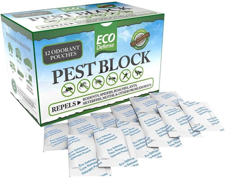 best pest repellents eco defense pest control