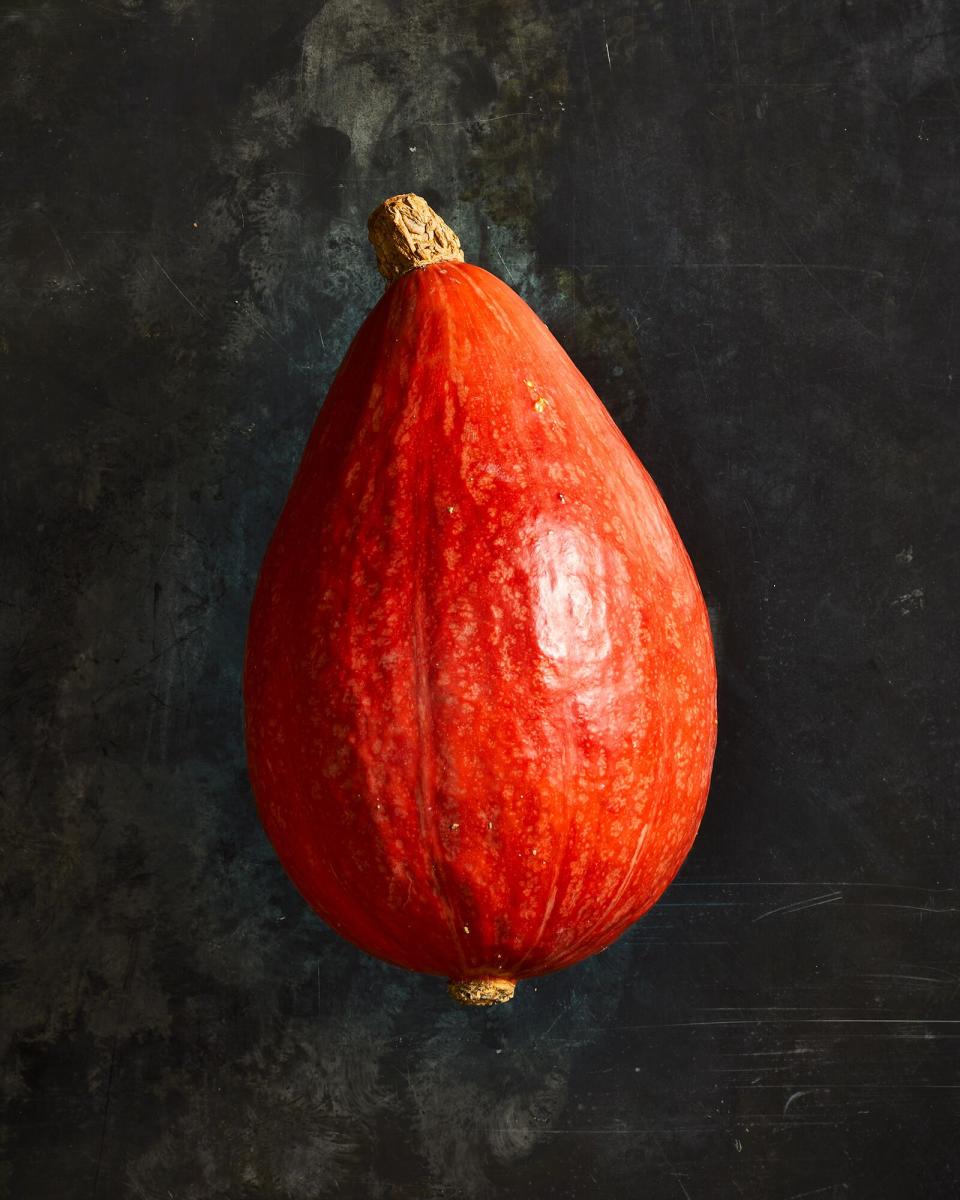 Red Kuri Squash