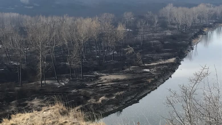 'Part of me feels I should have died with my cats': Siksika residents lose homes, animals in fire