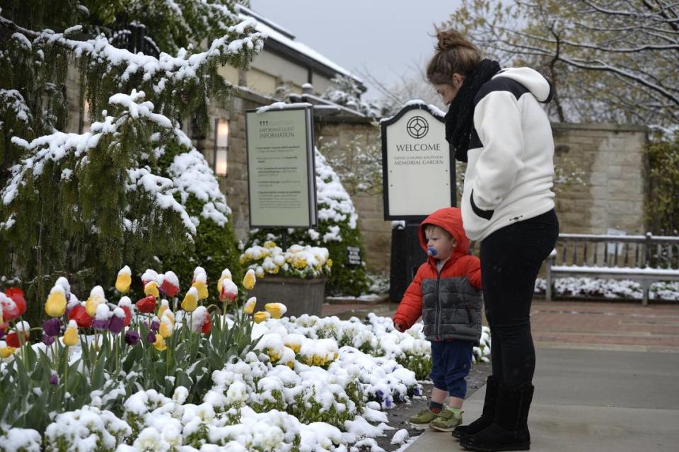 Liz Matherson takes her nephew Grant Farro, 2, to check out the snow covered tulips on Tuesday, April 20, 2021, at Kauffman Garden in Kansas City.