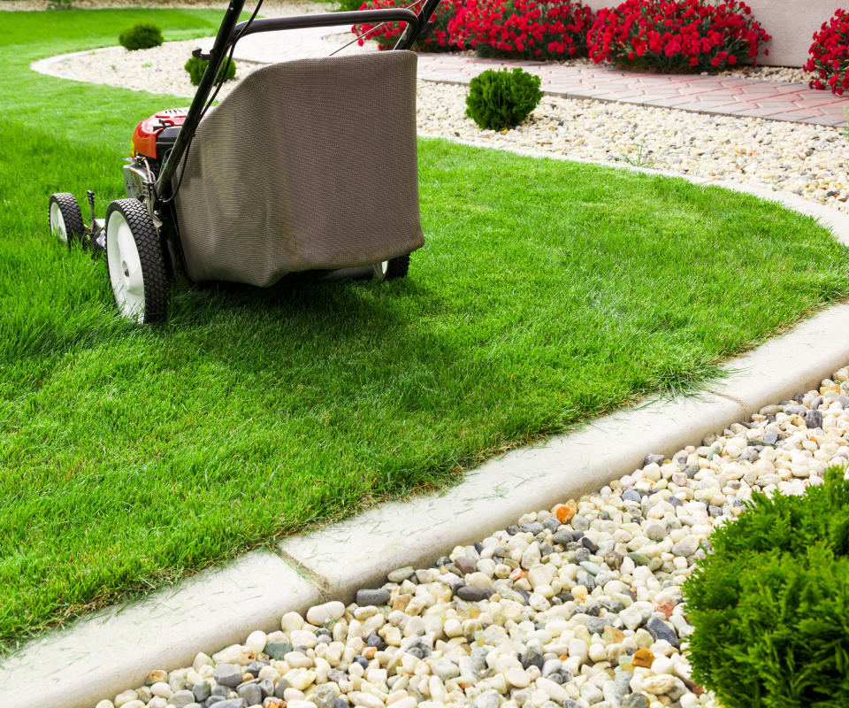 lawn mower on a lawn