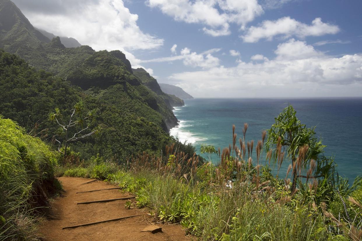 Sunny day on the Kalalau Trail with the Na Pali Coast to the side.