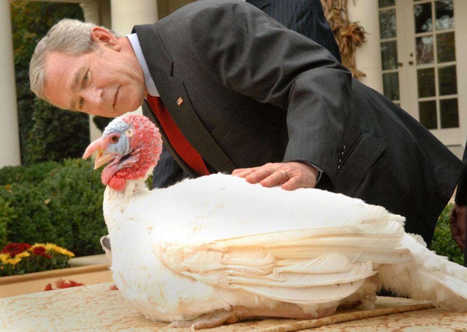 <p>After observing just one turkey pardoning ceremony, it's abundantly clear that turkeys are not obedient animals. But that hasn't stopped presidents from trying to wrangle them for decades in the name of mercy. Here, we've rounded up the best of presidential turkey pardons, from Eisenhower to Trump.</p>