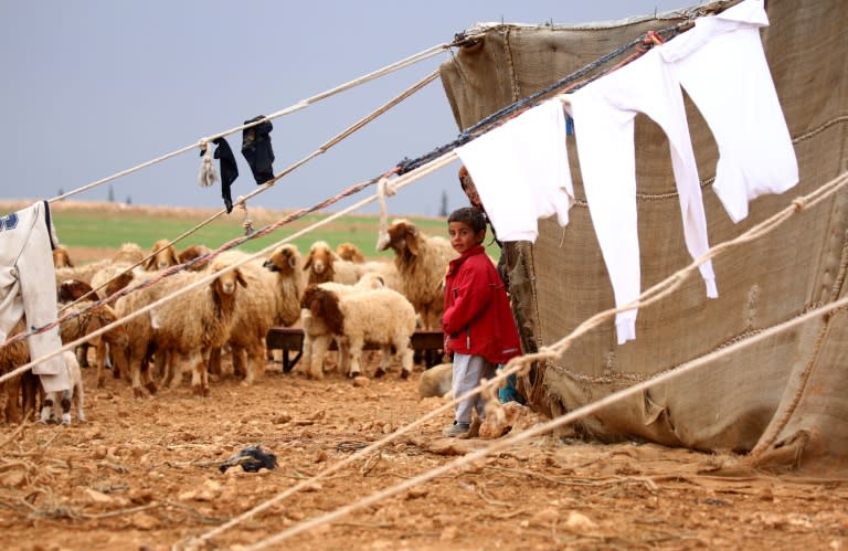 A displaced Syrian boy stands outside a tent by a herd of sheep in Kharufiyah, 18 kilometres south of Manbij, on March 4, 2017