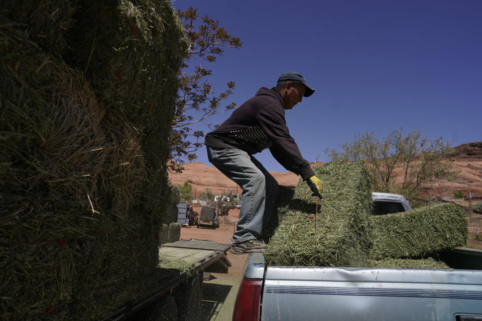 In this April 27, 2020, photo, Charlie Whitehouse loads hay into the back of a pickup truck in Oljato-Monument Valley, Utah, on the Navajo reservation. Even before the pandemic, people living in rural communities and on reservations were among the toughest groups to count in the 2020 census. (AP Photo/Carolyn Kaster)