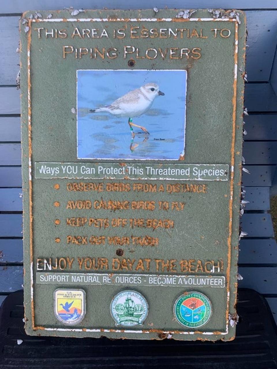 A piping plover sign that traveled across the Atlantic Ocean from Hilton Head Island to the shores of North Uist in the Outer Hebrides, a chain of islands off the North West coast of Scotland.