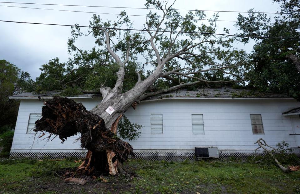 An upended tree rests on Bethel Church after Hurricane Beryl moved through the area, Monday, July 8, 2024, in Van Vleck, Texas (Copyright 2024 The Associated Press. All rights reserved)