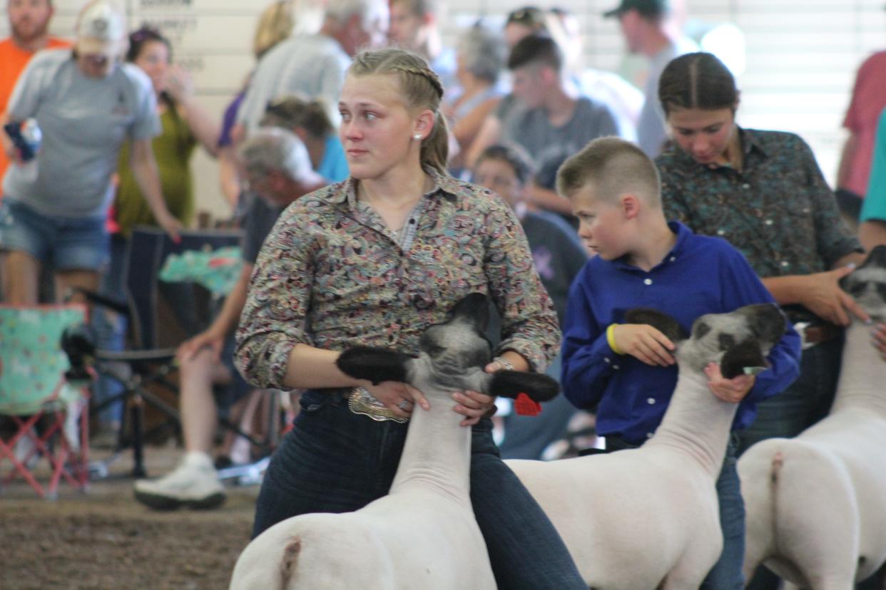 The 58th Ottawa County Fair kicked off Monday with animal judging, a Grande Parade and the crowning of the Jr. Fair King and Queen. The fair runs through Sunday and features harness racing, rodeo, demolition derby and rides.