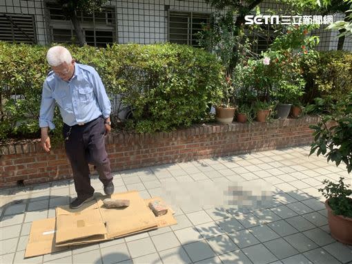 女童從14樓墜落中庭地磚上。（圖／記者陳啓明攝）