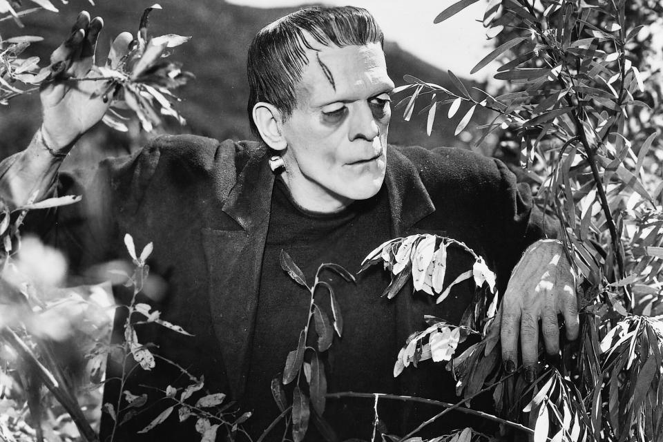 British actor Boris Karloff (1887 - 1969) as Frankenstein's monster in 'Frankenstein', directed by James Whale, 1931. (Photo by Silver Screen Collection/Getty Images)