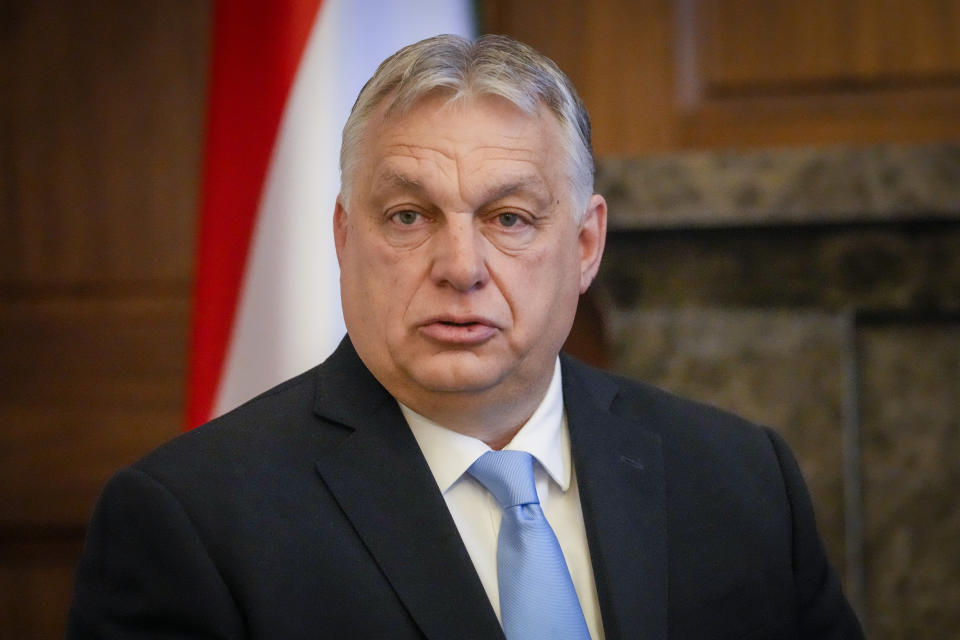 Hungary's Prime Minister Viktor Orban looks on during his meeting with Bosnian Serb leader Milorad Dodik, in Banja Luka, Bosnia, Friday, April 5, 2024. (AP Photo/Darko Bandic)