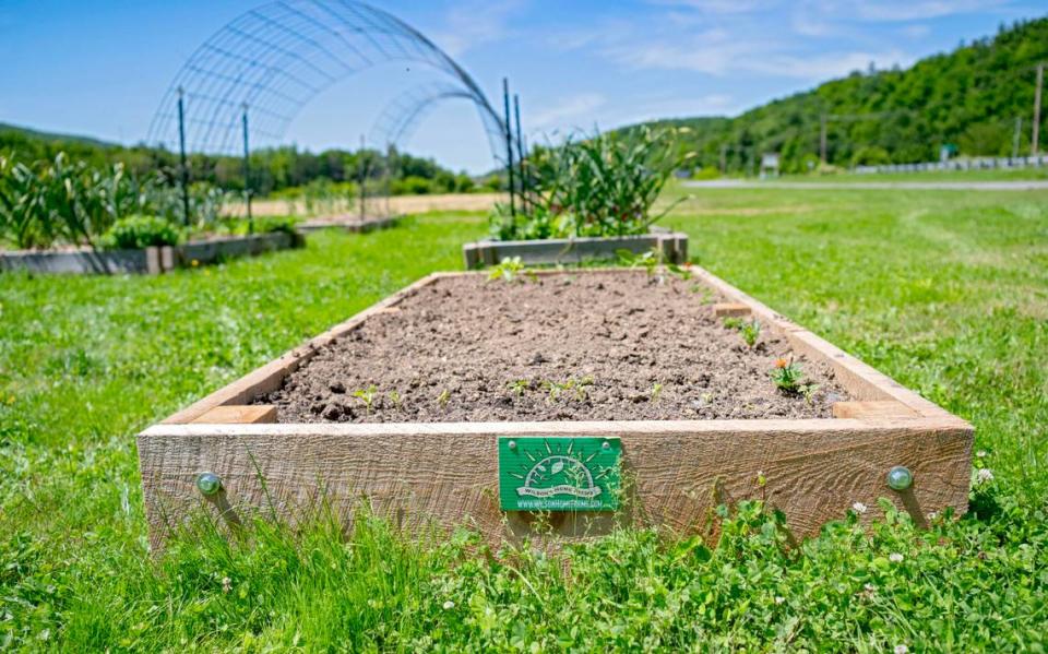 A garden box built by Wilson’s Home Farms during a workshop at Homestead Day at The Heirloom Farmer.