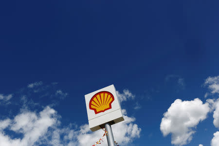 FILE PHOTO: A logo of Shell is pictured at a gas station in the western Canakkale province, Turkey April 25, 2016. REUTERS/Murad Sezer/File Photo