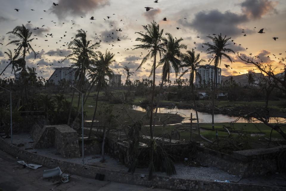 Pájaros volando sobre los escombros que dejó el huracán Otis en Acapulco, México, el 28 de octubre de 2023. (AP Foto/Félix Márquez)