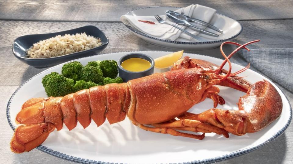 At Red Lobster: Modified Live Maine Lobster
