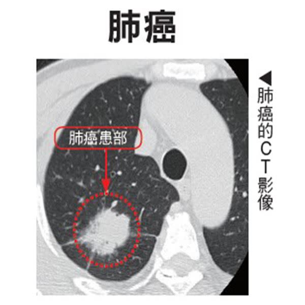 （圖片提供／大是文化）