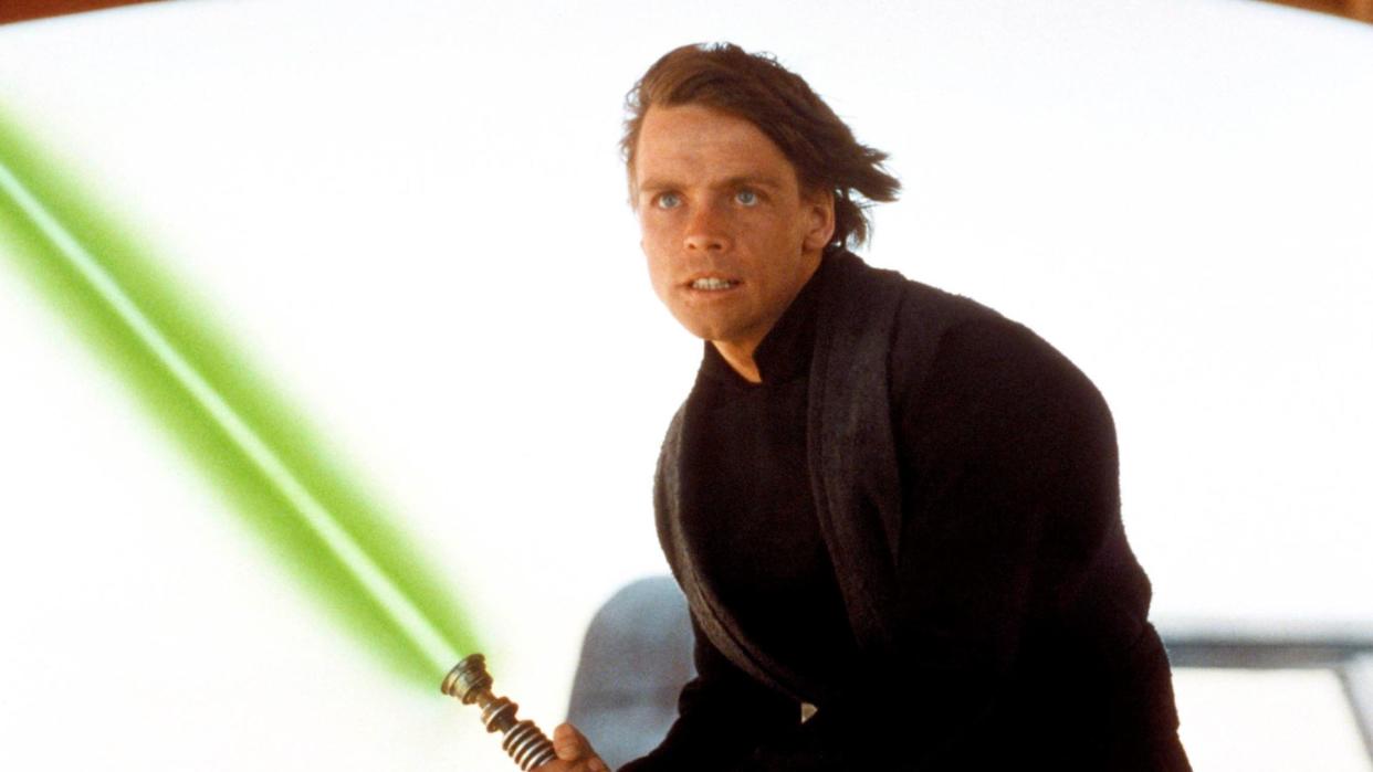 Anakin and Luke Skywalker 
