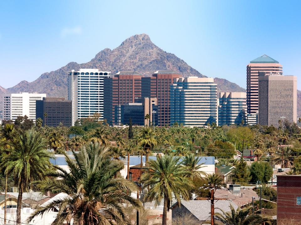 buildings and palm trees in downtown scottsdale