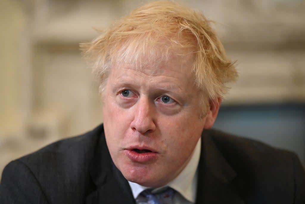 Prime Minister Boris Johnson (Ben Stansall/PA) (PA Wire)