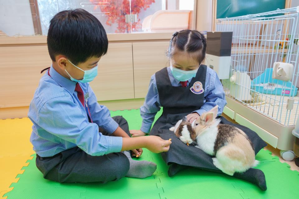 鍾校長相信，當學生認識及愛動物，可從感受到動物懂得愛。