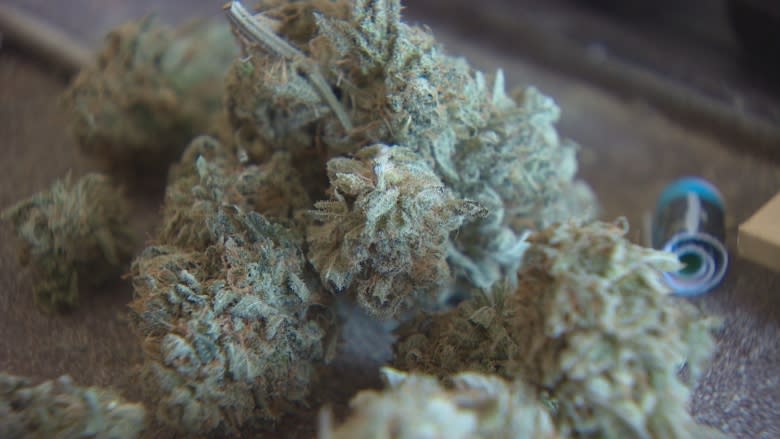 Customers likely willing to pay a little more for regulated marijuana, expert says