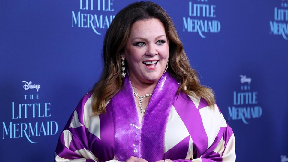 Melissa McCarthy was praised for how she handled Barbra Streisand's social media blunder.