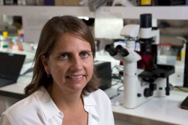 Marina Simian directora del laboratorio de Nanobiología e investigadora independiente del Conicet