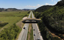 An eco-corridor for the endangered Golden Lion Tamarin crosses over an interstate highway in Silva Jardim, Rio de Janeiro state, Brazil, Thursday, Aug. 6, 2020. Once recently planted trees grow on the bridge, it will allow the primates to safely cross the busy highway bisecting one of the last Atlantic coast rainforest reserves. (AP Photo/Mario Lobao)