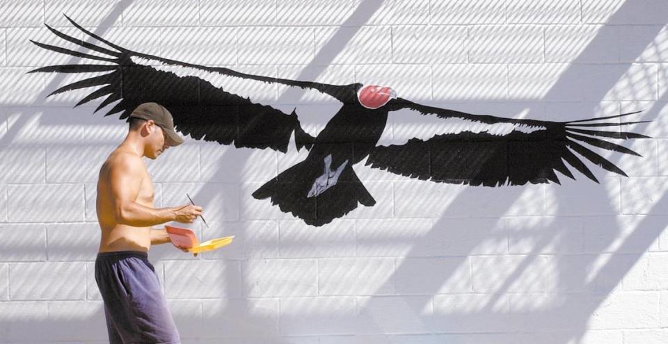Anthony Prieto paints a life size condor mural on the side of the former fire lookout on Hi Mountain. Shadows from the walkway above cast a pattern on the wall Oct. 6, 2002.