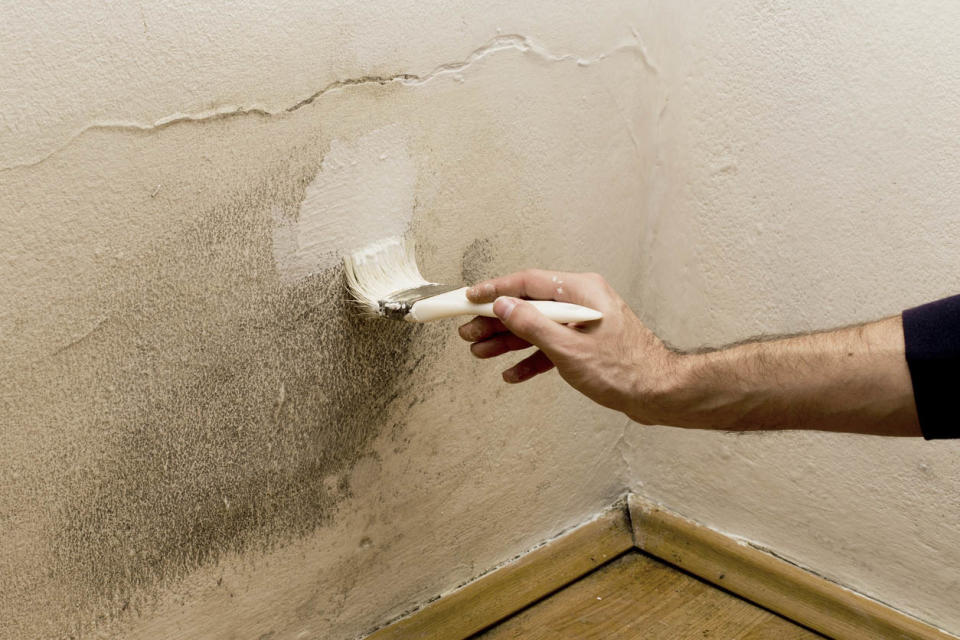 A person with only their hand visible paints over mold on an interior wall.