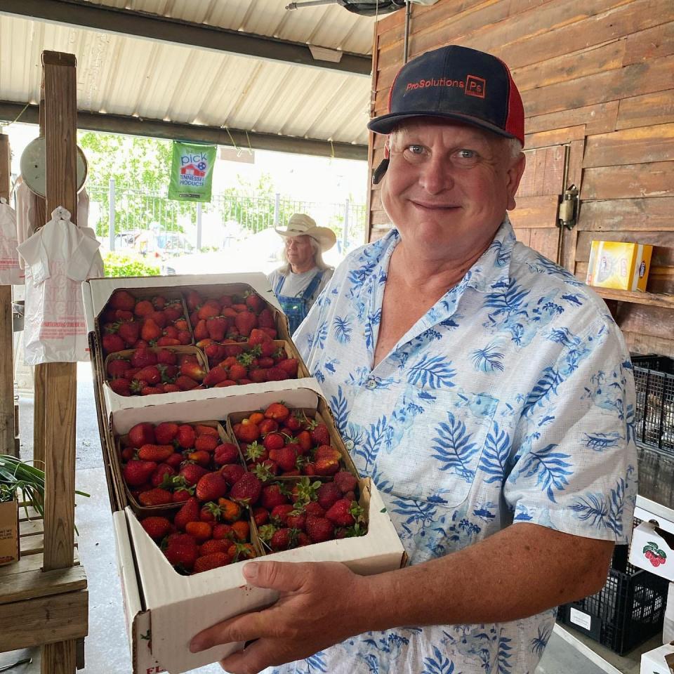 Troy Smiley of Smiley's Farm, a longtime vendor at the Nashville Farmers' Market, holds a flat of ripe strawberries during the annual Strawberry Jubilee.