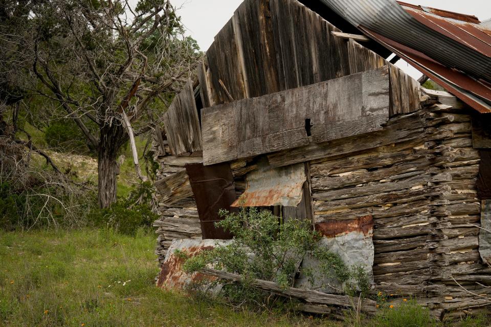 An old cabin sits on the RGK Ranch, which will need several years of preparation before the public can enjoy it as a park.