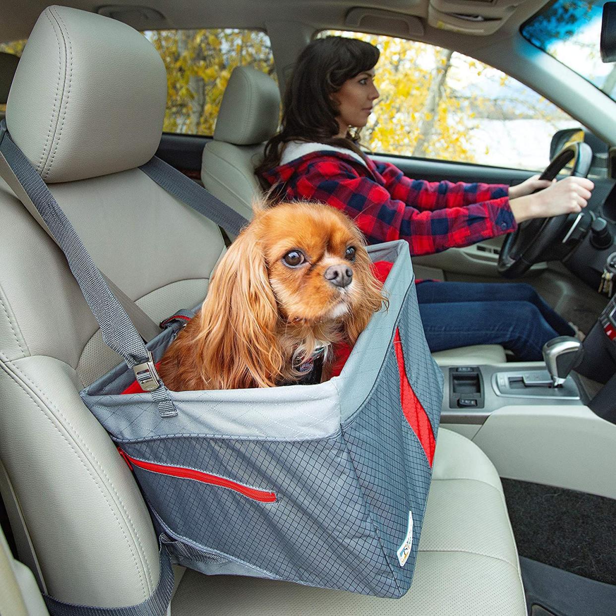 Kurgo Car Pet Booster Seat