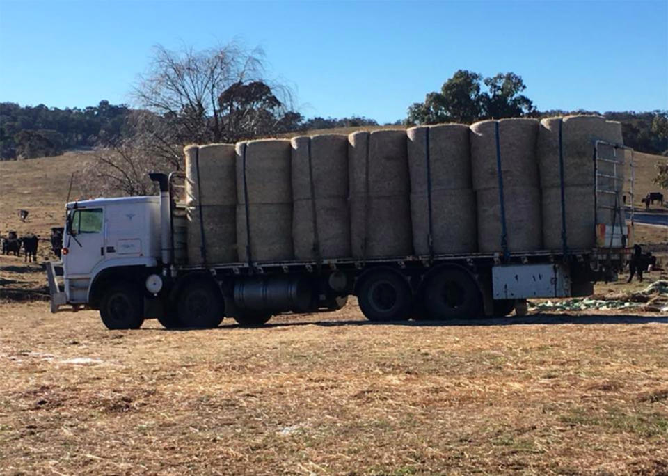 Farmers took out a loan to keep their livestock and Tamworth farm alive