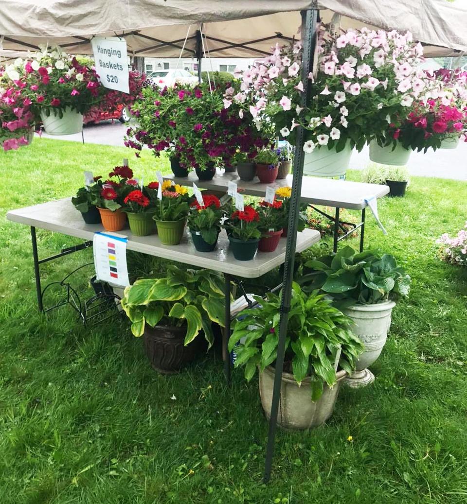 A large variety of hanging baskets and other flowering plants were among the hundreds of plants offered for sale during a past Mother’s Day Plant Sale on the Plaza. The Blue Ridge Summit Free Library’s fourth annual plant sale is set for Saturday, May 11.