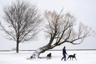 Zarin Taylor walks his two Great Danes, Dottie and Terrabella near Lake Michigan on the Northside of Chicago Tuesday, Jan. 26, 2021. A major winter storm dumped more than a foot of snow on parts of the middle of the country stretching from central Kansas northeast to Chicago and southern Michigan.(AP Photo/Charles Rex Arbogast)