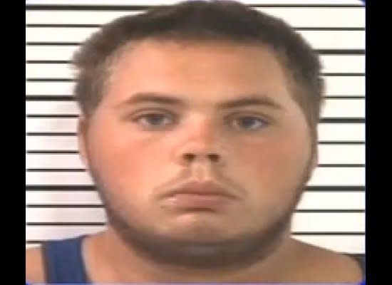 Brandon Fanning, 19, is accused of having sex with a dog and, separately, an underage male.