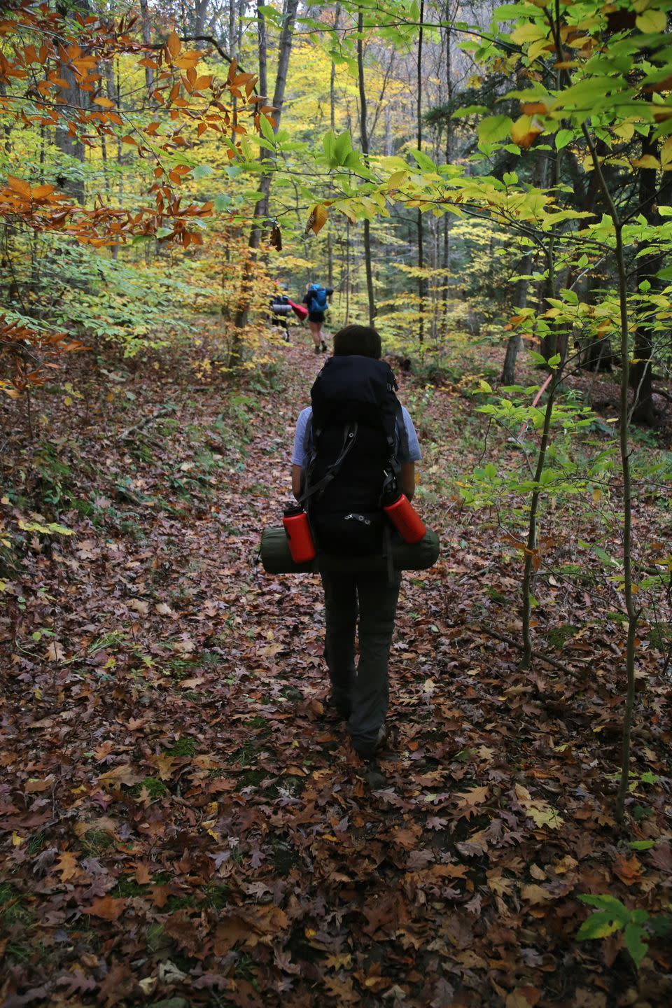 Indiana: Hemlock Cliffs National Scenic Trail