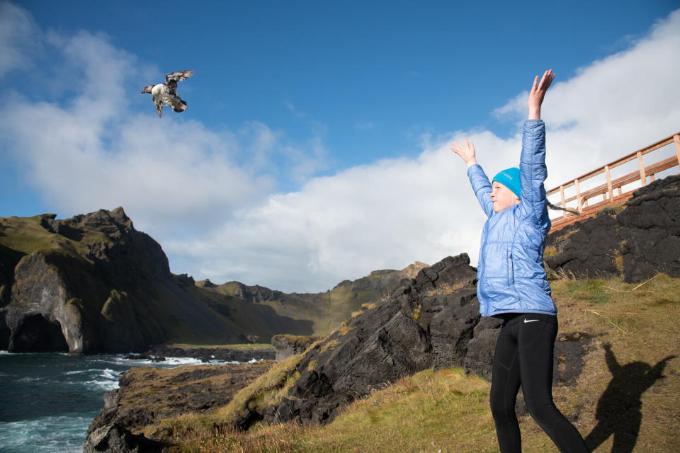 S&oacute;ldis Sif releases a puffling at the cliffs. Their wings are small meaning they must be launched into the air to get enough lift for takeoff. (Photo: Jennifer Adler)