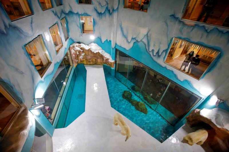 Visitors look at polar bears at an enclosure inside a hotel at a newly-opened polarland-themed park in Harbin
