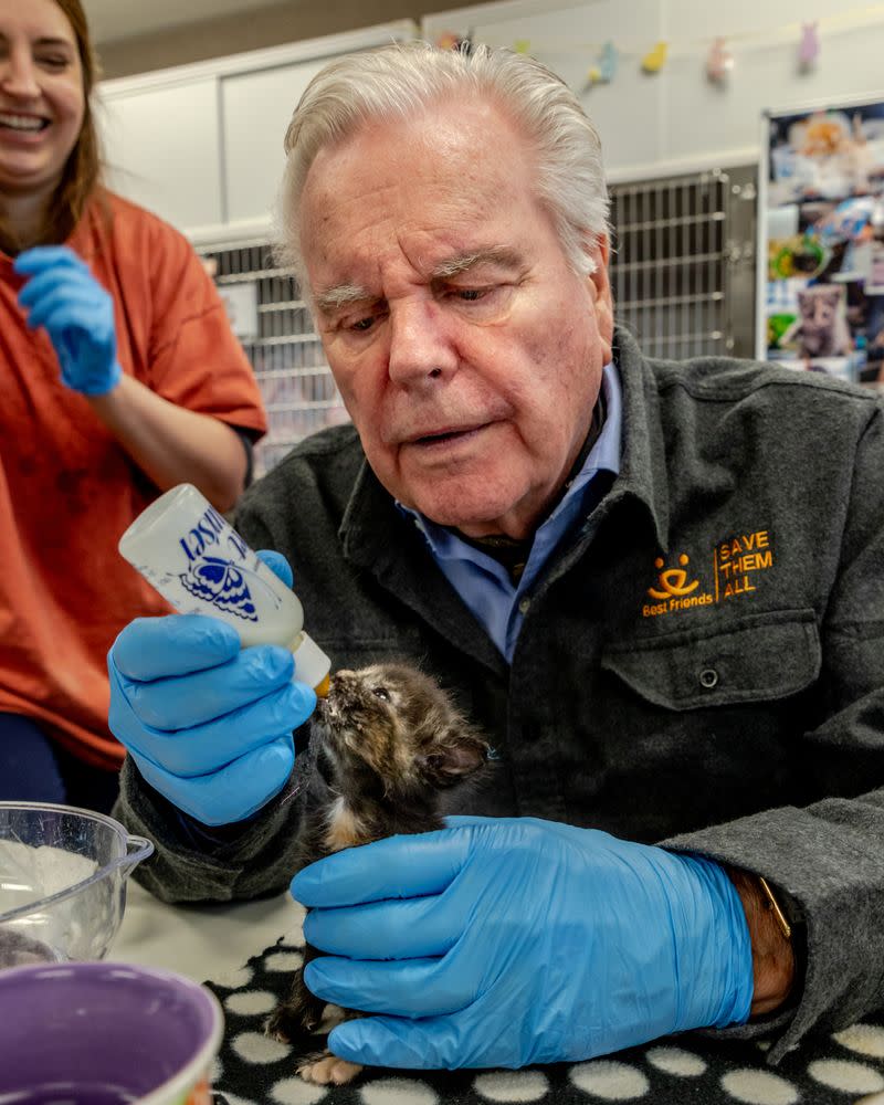 Robert Wagner helped out during this busy kitten season by taking a feeding shift at a Best Friends Animal Society kitten nursery