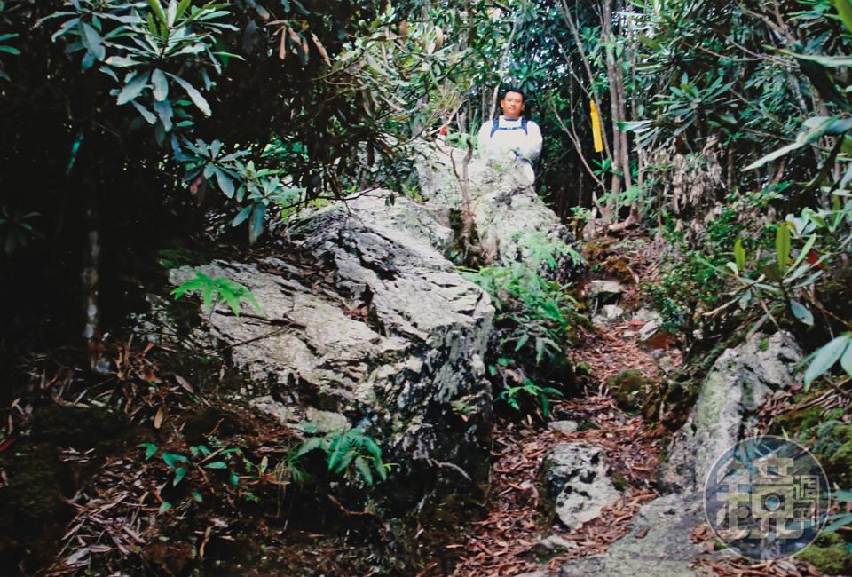 南投縣信義鄉水社大山的水晶礦山，二氧化矽成分逾99％，開採價值極高。（受訪者提供）