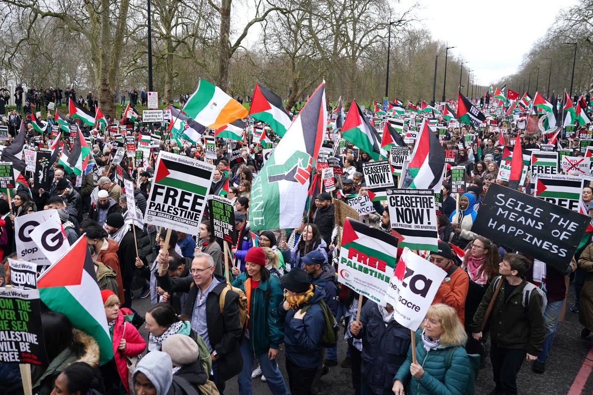 People take part in a pro-Palestine march in central London, organised by the Palestine Solidarity Campaign (Jordan Pettitt/PA) (PA Wire)