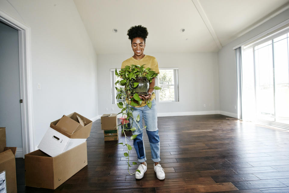Person moving a plant and boxes into their new apartment