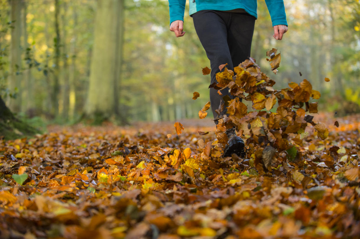 A woman wearing black tights and boots walks through the woods, kicking up red, yellow and orange autumn leaves on the ground