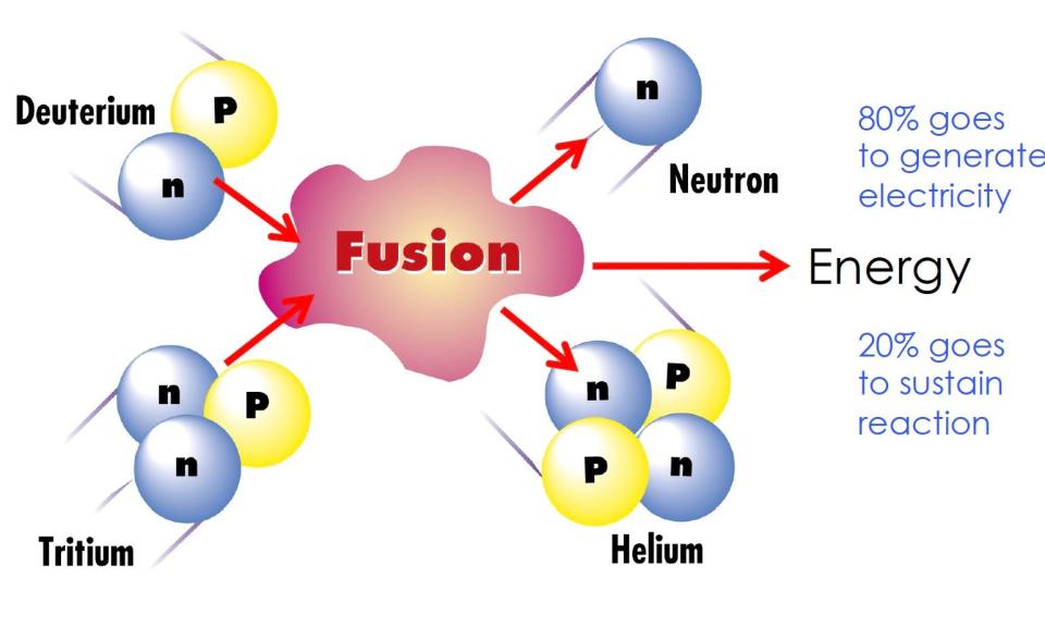 In a fusion reaction, two hydrogen-like nuclei fuse to produce helium and a high-energy neutron. Fusion neutrons provide huge amounts of energy that can be harnessed for producing electricity.