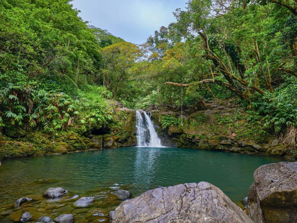 Waikamoi Waterfall, Maui, Hawaii, USA