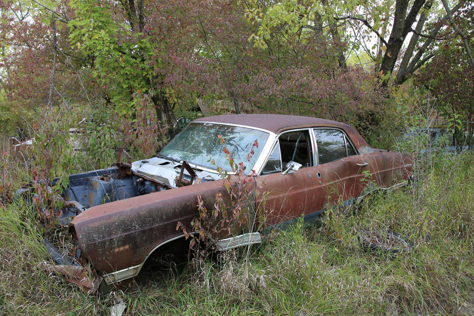 <p>Parking cars under trees is never advisable. Wet leaves accumulate in the crevasses, and with the sun unable to break through the canopy of foliage above, they remain damp and act as a breeding ground for <strong>dreaded rust</strong>. So far, this 1967 Ford Fairlane has managed to avoid too much rot, but it’s only a matter of time.</p>