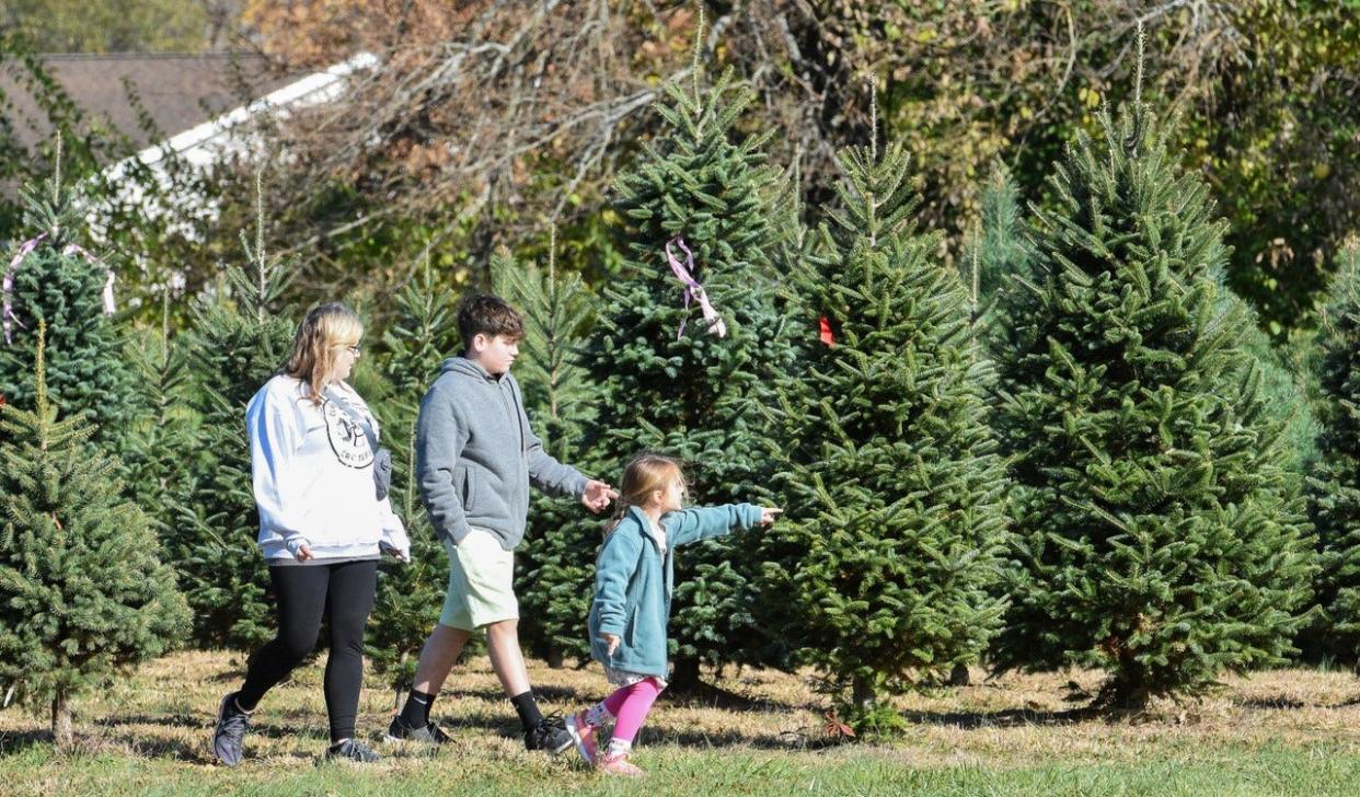 April Wammes, left, and her children, Aiden Benson, 14, and Charleigh Wammes, 4, head into the pines in search of the perfect tree at Hidden Pines Christmas Tree Farm on Nov. 11. They were among hundreds of people who arrived on the farm’s opening day of the season.