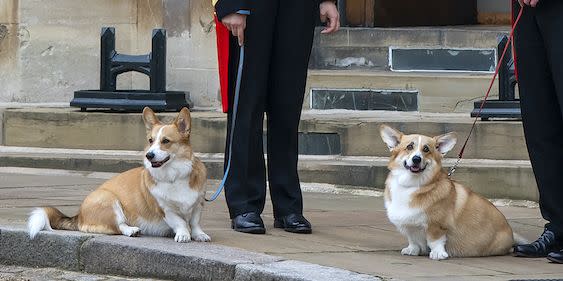 Photo credit: Justin Setterfield - Getty Images